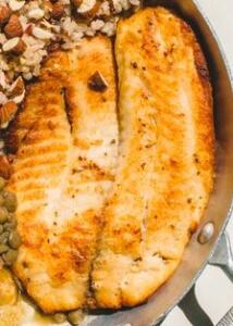 Filet de tilápia orgânica, sem hormônio grelhada