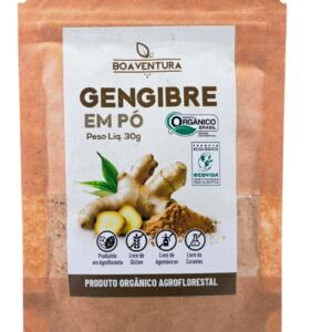 Gengibre em pó - 30g