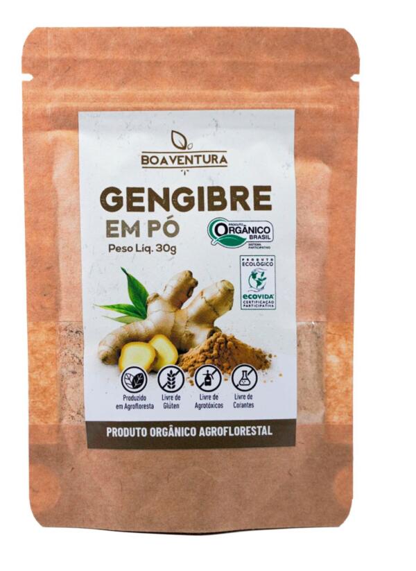 Gengibre em pó - 30g