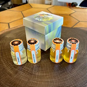 Caixa Folder Experiência 4 meles Nativos – Mbee